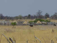 homesteads, traditional houses of Namibia