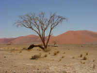 Sossusvlei and Namib Desert