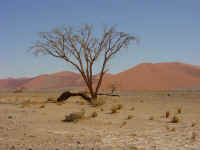 Sossusvlei sand dunes