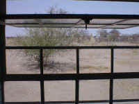 View of my classroom window. The traditional homestead is a little difficult to see, but it is to the right, behind the termite mound.